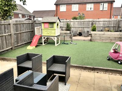 Picture 15